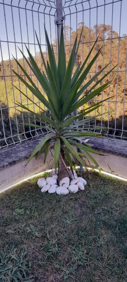 Casa Monte Beira Rio Touguinho Eksteriør bilde